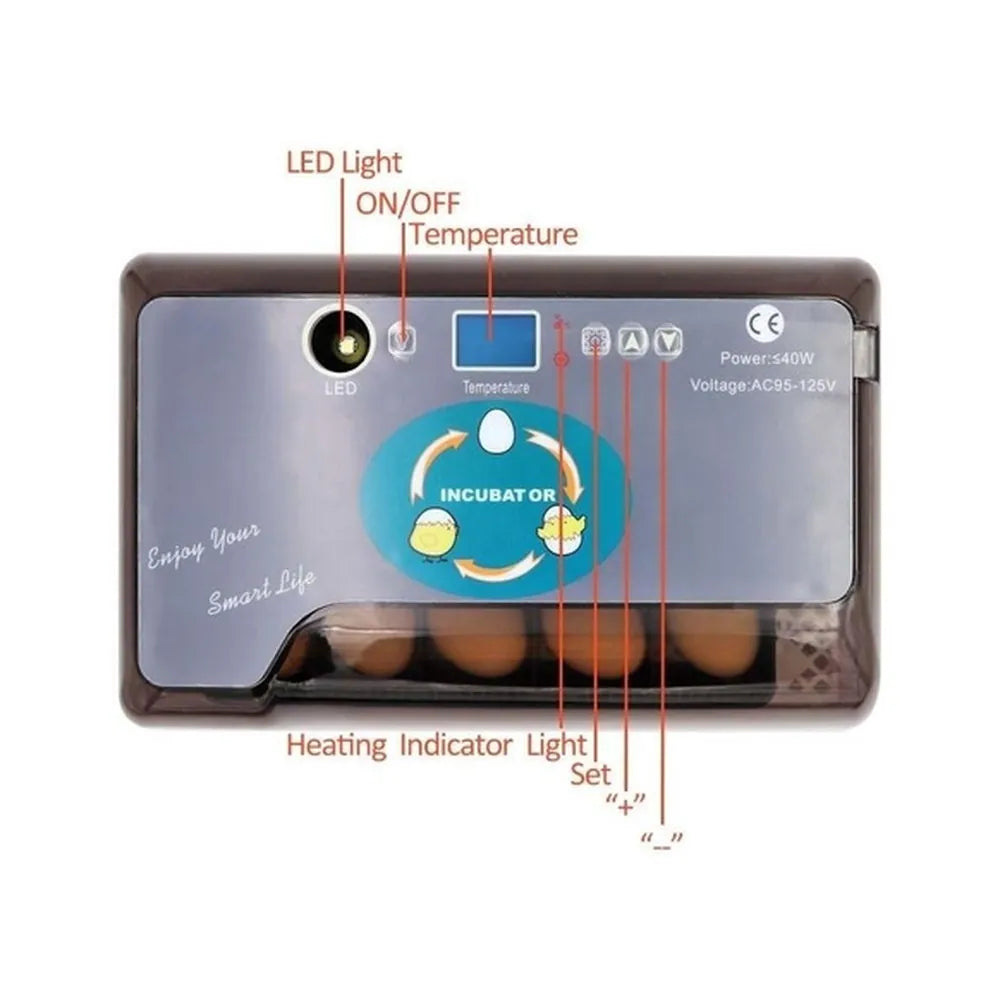 Incubadora De Huevos Digital Automática 12 Huevos