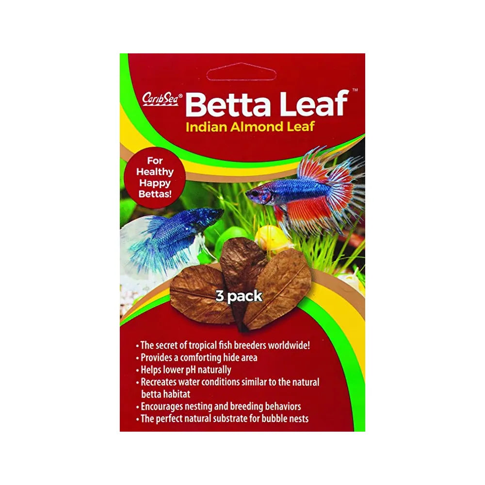 Betta Leaf - 3 hojas de almendro