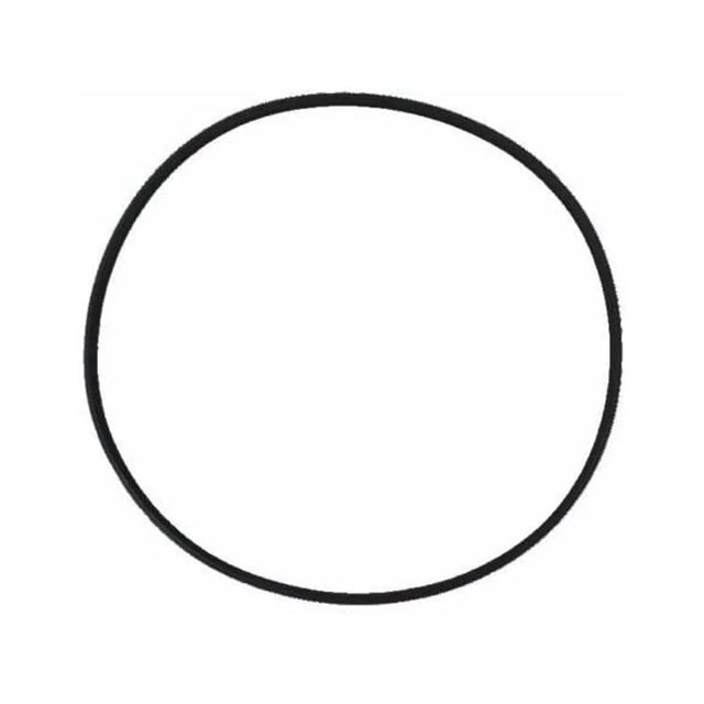O-ring repuesto filtro externo sun sun