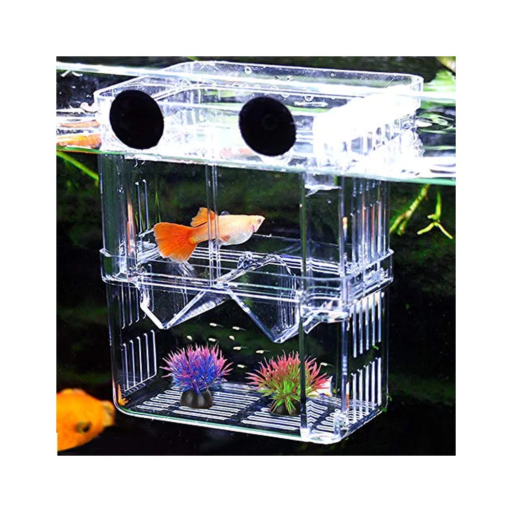 Paridera - Criadora para peces pequeños