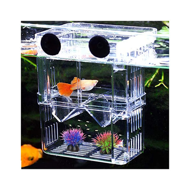 Paridera - Criadora para peces pequeños